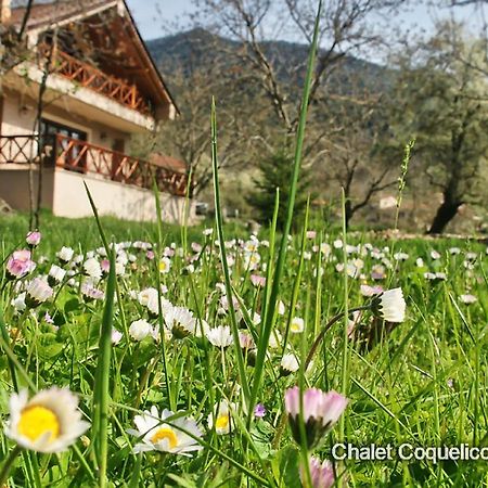 Chalet Coquelicot Kalawrita Zewnętrze zdjęcie