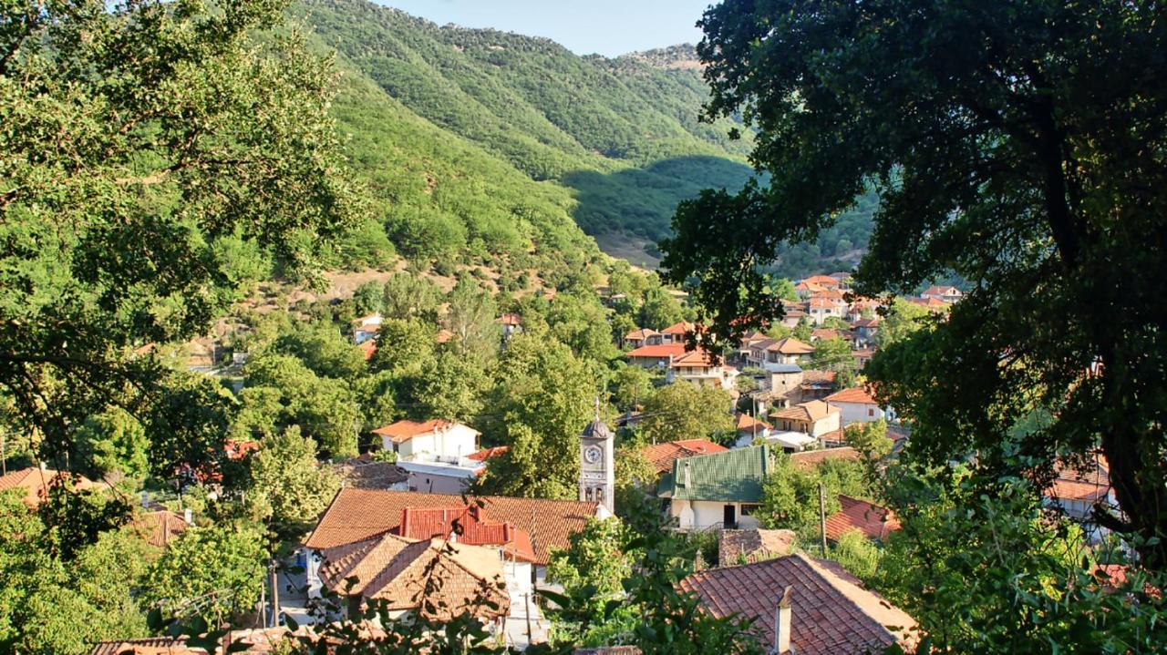 Chalet Coquelicot Kalawrita Zewnętrze zdjęcie