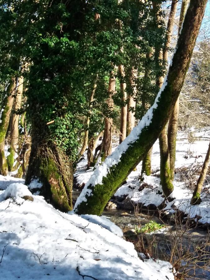 Chalet Coquelicot Kalawrita Zewnętrze zdjęcie