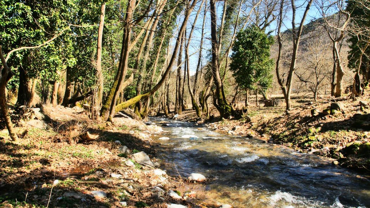 Chalet Coquelicot Kalawrita Zewnętrze zdjęcie