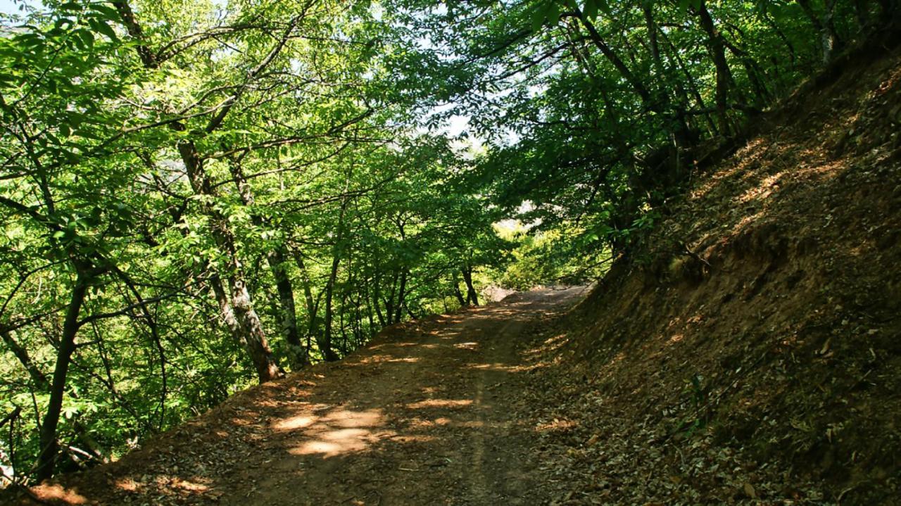 Chalet Coquelicot Kalawrita Zewnętrze zdjęcie